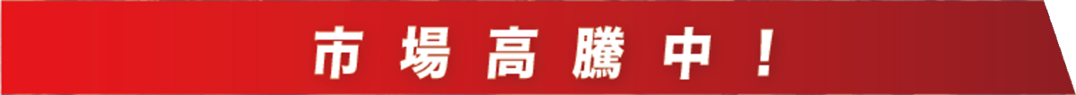 市場高騰中！
